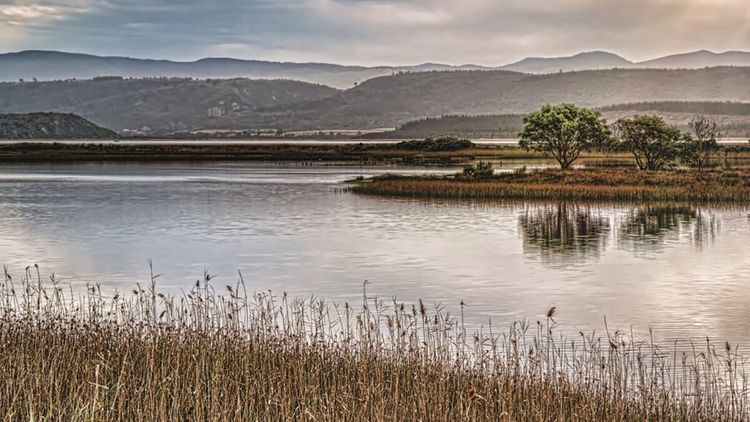 Holiday Home Accommodation