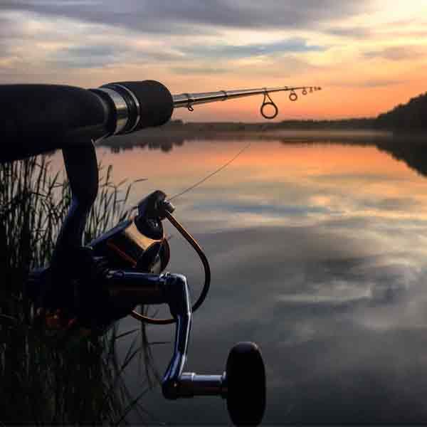 Wacky Woods Riverside Resort